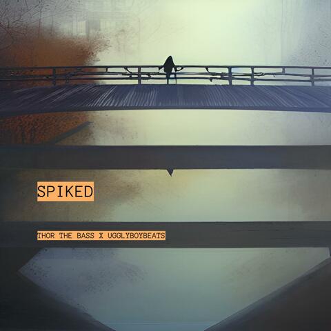 Spiked (feat. Mykey Massacre & Bronson Elder)