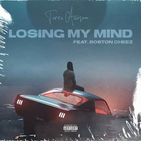 LOSING MY MIND (RIP TRAP) (feat. Terra awesum)