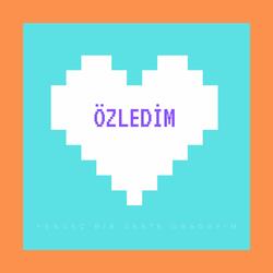 Özledim (Cover)