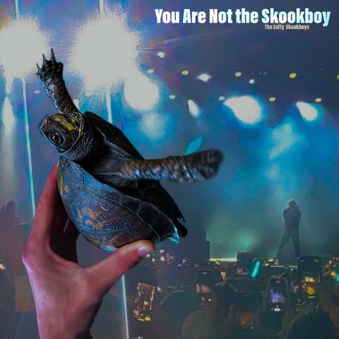 You Are Not The Skookboy