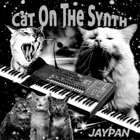 Cat On The Synth