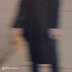 gun