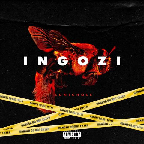 Ingozi