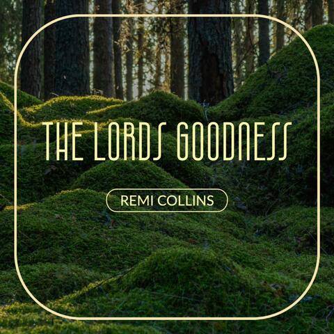 I have seen the Lords Goodness (Violin Version)