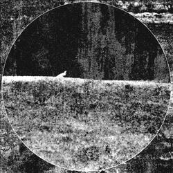 CystEmesis
