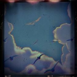 Soaring