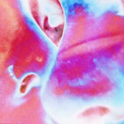 qq tu vai faze amanha ?