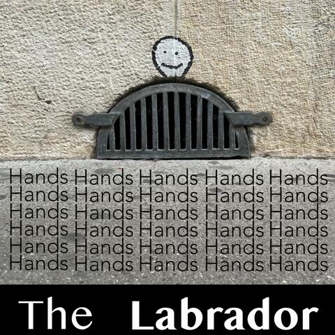 Hands