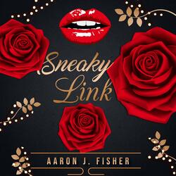 Sneaky Link