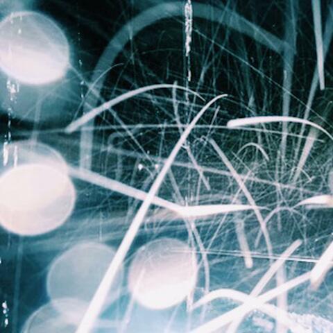 Nothing/Malthusian