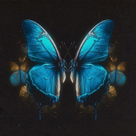 Symmetry