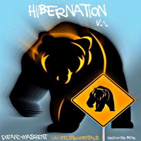 Hibernation V.1