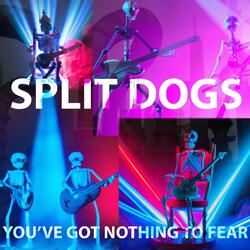 You've Got Nothing to Fear