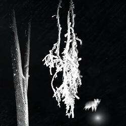 REAL KNOW REAL (feat. JAYOVSN)