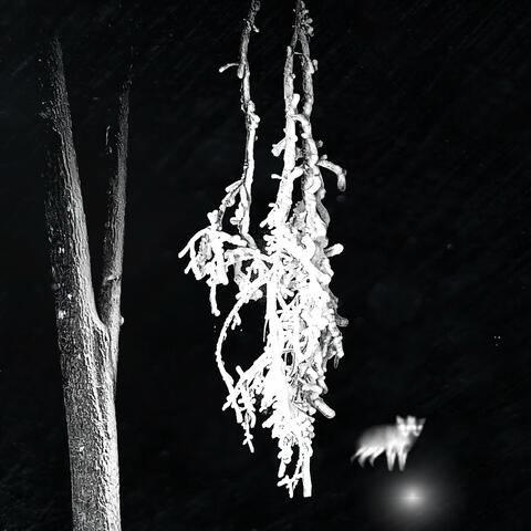 REAL KNOW REAL (feat. JAYOVSN)