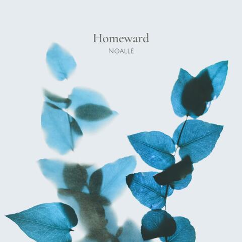 Homeward