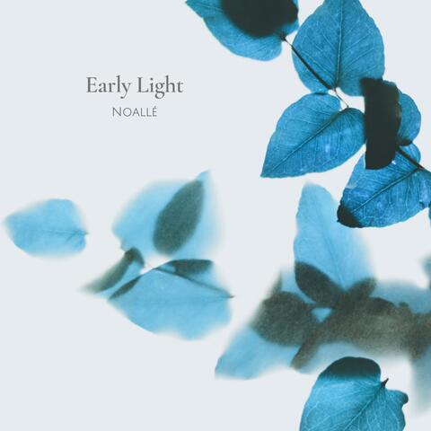 Early Light