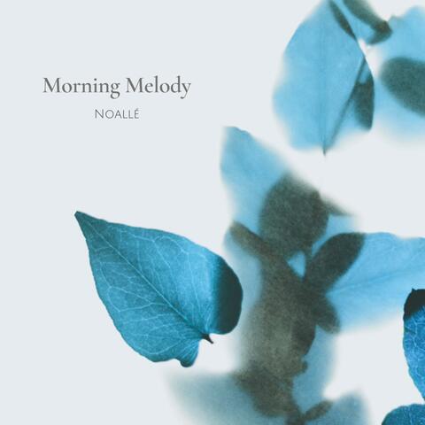 Morning Melody