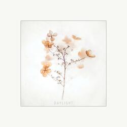 Daylight