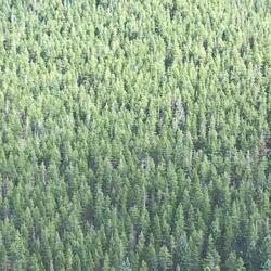 Ripplez (feat. Eric Moffitt)