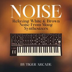 Moog Airways