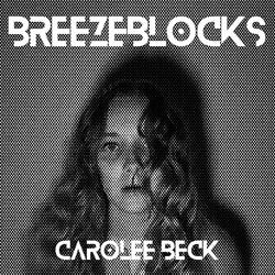 Breezeblocks