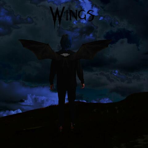Wings