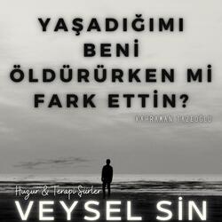 Yaşadığımı öldürürken mi fark ettin (Aşk şiiri)