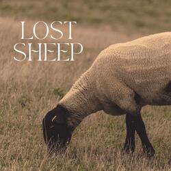 Lost Sheep