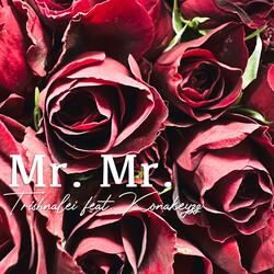 Mr. Mr. (feat. Konakeyzz)