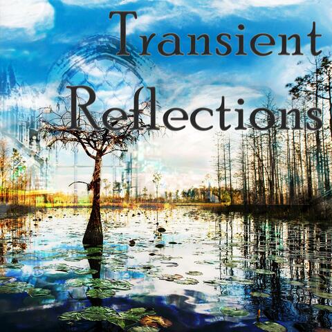 Transient Reflections