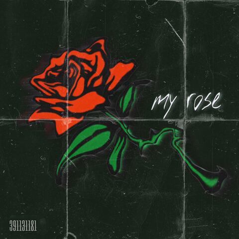 my rose