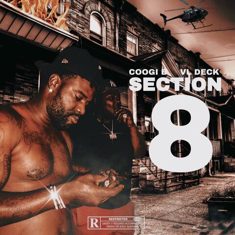 Section 8