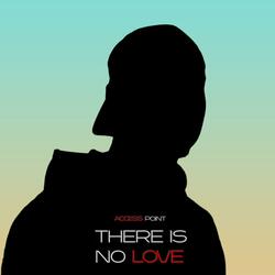 There Is No Love