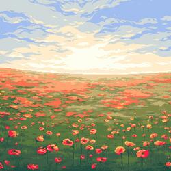 Poppy Glade