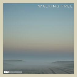 Walking Free