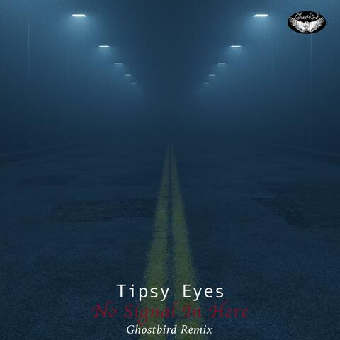 No Signal In Here (Ghostbird Remix Radio Edit)