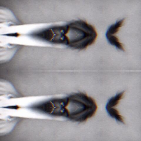 FADED