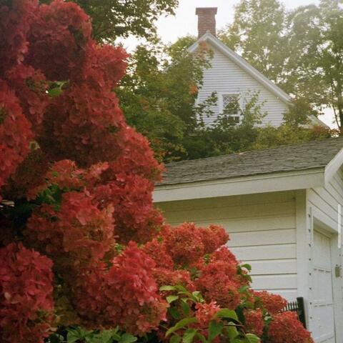 Green Fingers