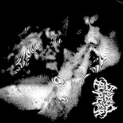 NIGHT NIGHT (feat. Shredz)