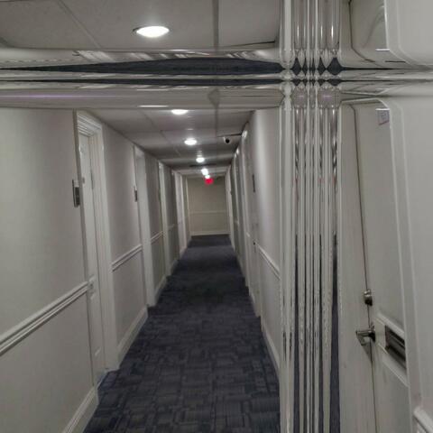 Endless Hallway
