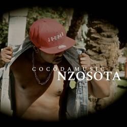 NZOSOTA