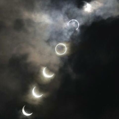 PHASES