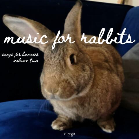 Music for Rabbits: Songs for Bunnies Volume Two