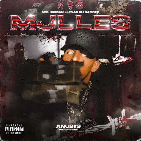 MJLLES