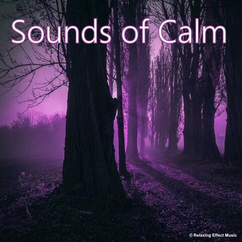 Sounds of Calm