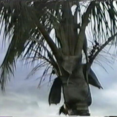 hawaii vacation guide