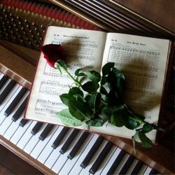 HOW IS YOUR LIFE? (PIANO)
