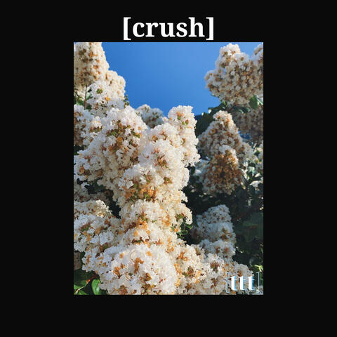 crush