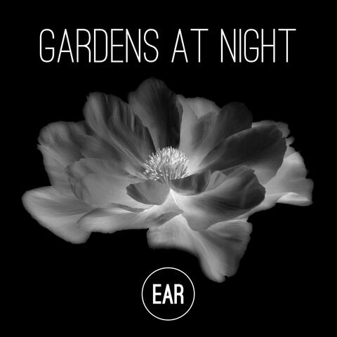Gardens at Night
